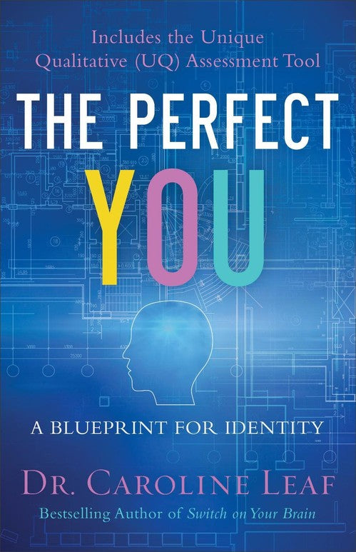 The Perfect You  A Blueprint for Identity