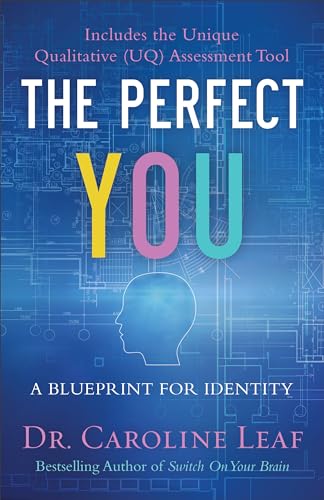 The Perfect You  A Blueprint for Identity