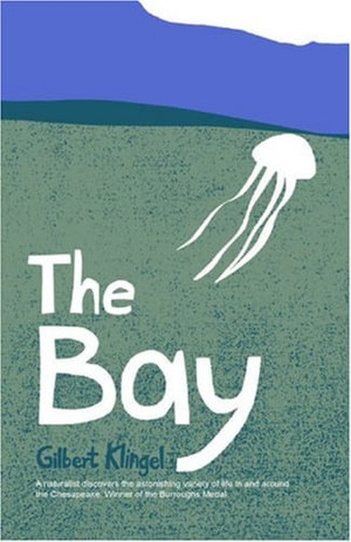 The Bay