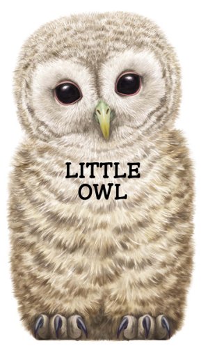 Little Owl