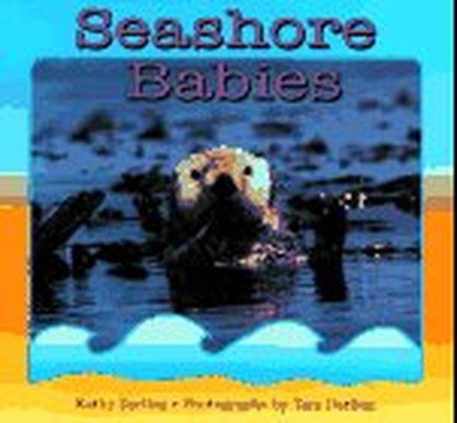 Seashore Babies