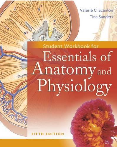 Student Workbook for Essentials of Anatomy and Physiology
