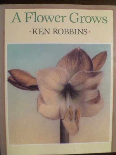 Robbins Ken : Flower Grows (Hbk)