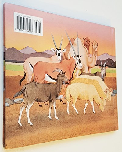 Stoddard & Chen : Child'S First Bible