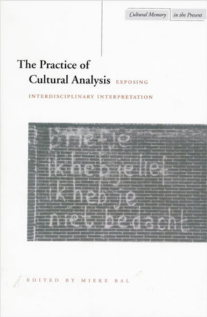 The Practice of Cultural Analysis