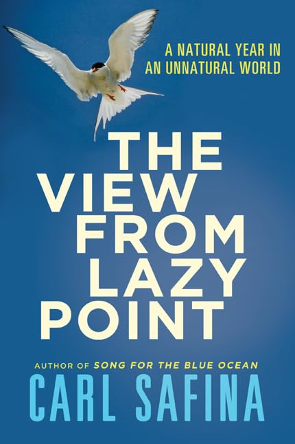 The View from Lazy Point