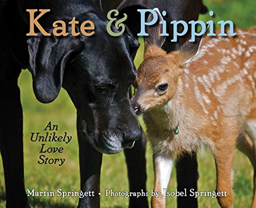 Kate & Pippin