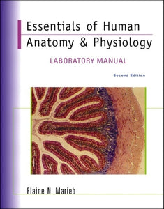 Essentials of Human Anatomy & Physiology Lab Manual 