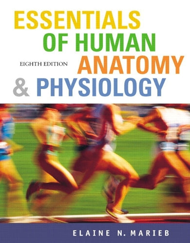 Essentials of Human Anatomy and Physiology
