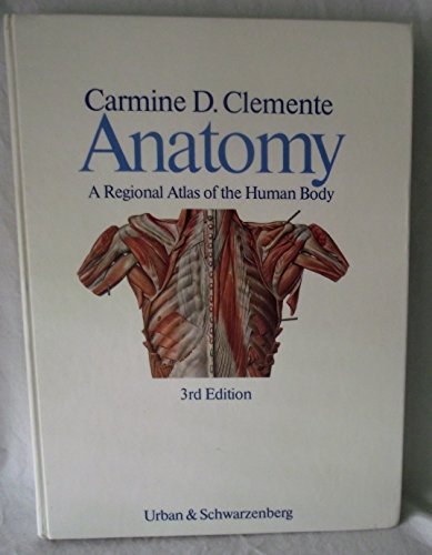 Anatomy