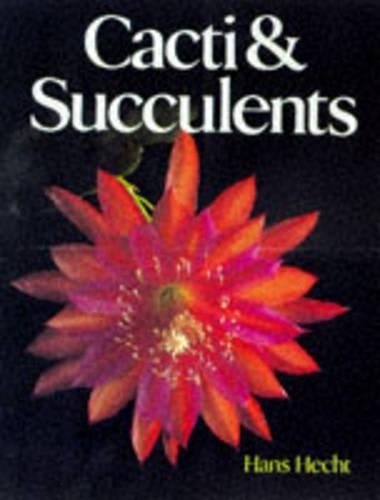 CACTI AND SUCCULENTS