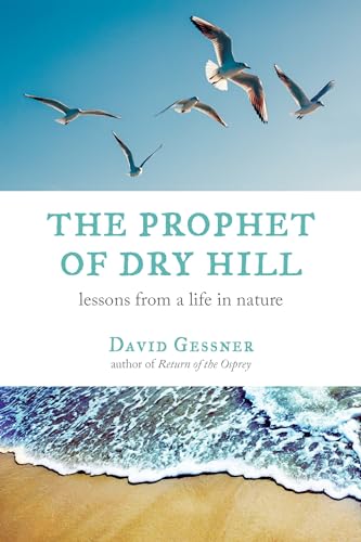 The Prophet of Dry Hill