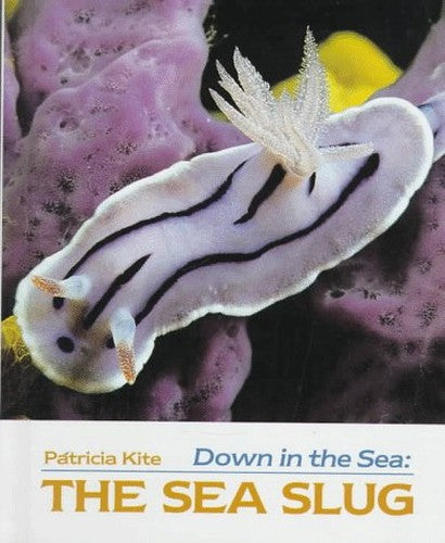 Down in the Sea