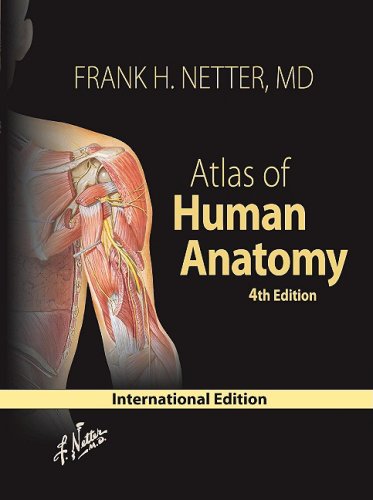 Atlas of Human Anatomy, International Edition