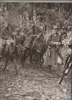 Partisans and Guerrillas (World War II)