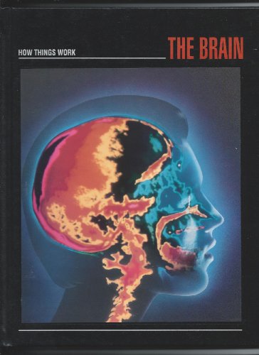 The Brain