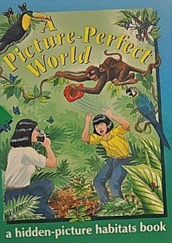 A Picture-Perfect World
