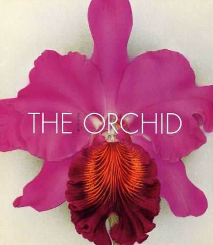 Orchids