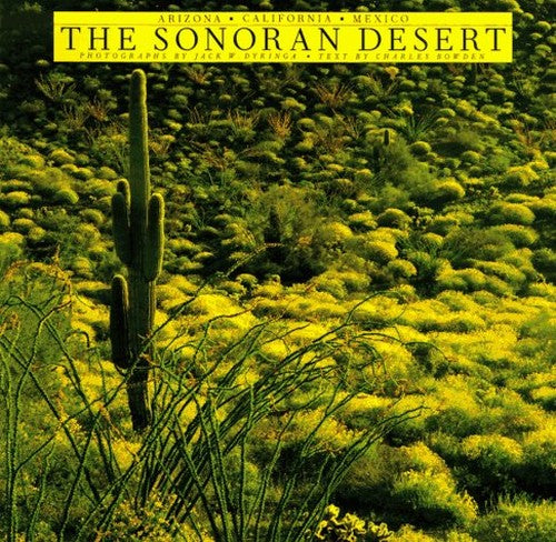 The Sonoran Desert