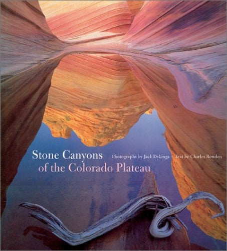 Stone Canyons of Colorado Plateau