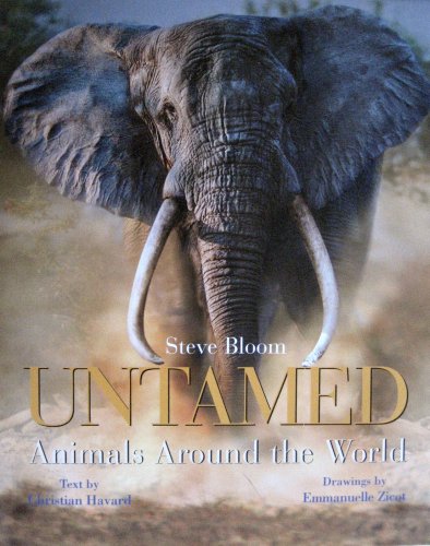 Untamed: Animals in the Wild