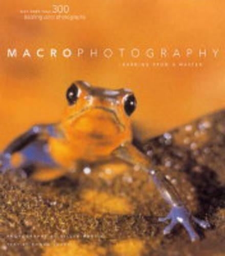 Macrophotography: Learning from a Master