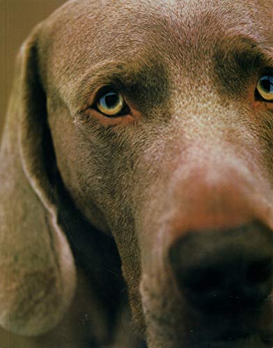 William Wegman Polaroids