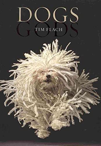 Dogs / Gods