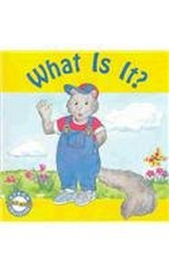 What Is I-Phonics Read Set 1 