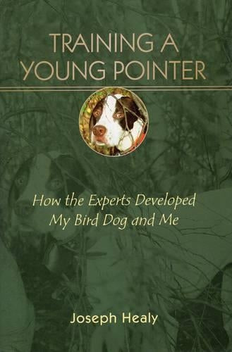 Training a Young Pointer