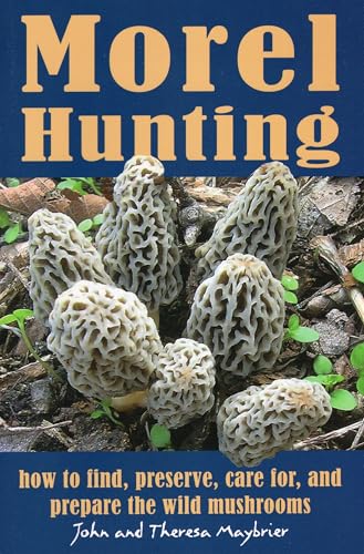 Morel Hunting