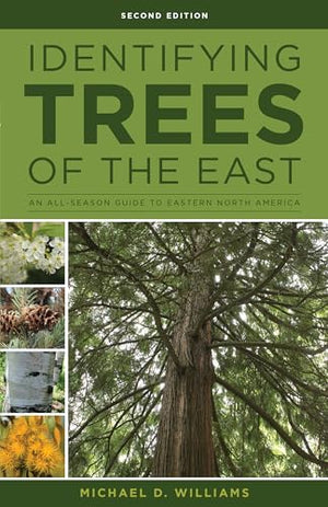 Identifying Trees of the East