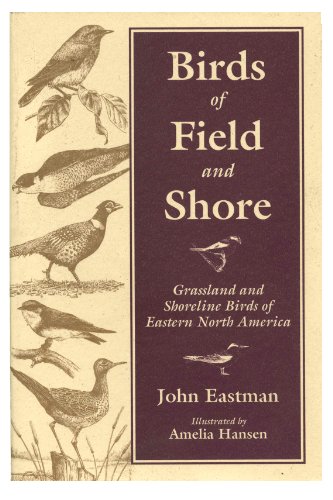 Birds of Field and Shore