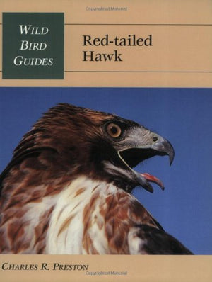 Red-Tailed Hawk
