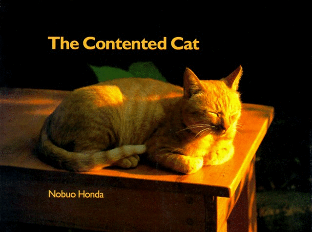 Contented Cat
