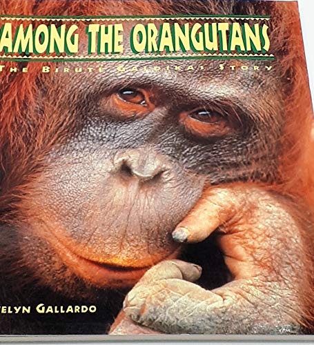 Among the Orangutans