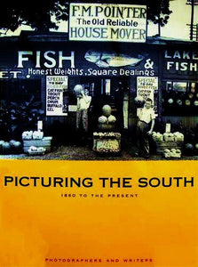 Picturing the South 