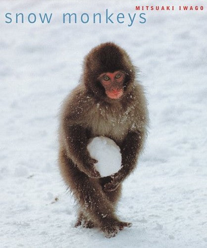 Snow Monkeys