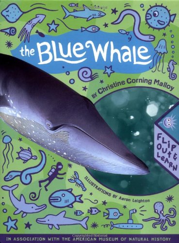 The Blue Whale