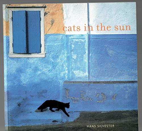 Cats in the Sun