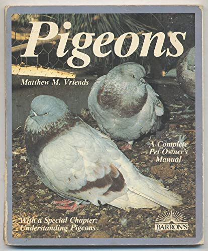 Fancy Pigeons