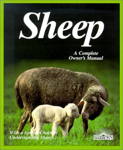 Sheep