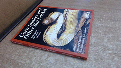 Corn Snakes and Rat Snakes