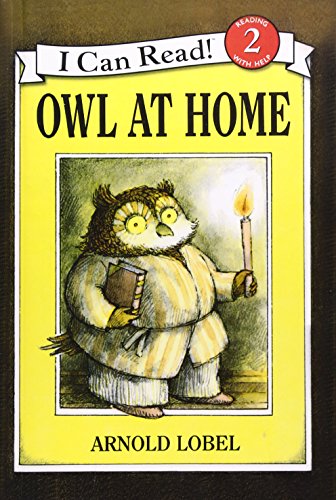 Owl at Home