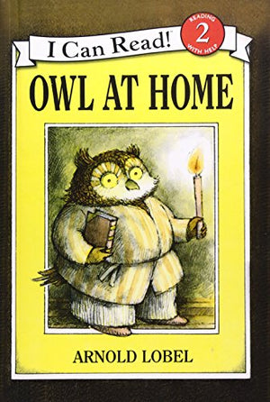 Owl at Home
