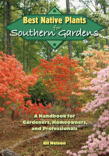 Best Native Plants for Southern Gardens