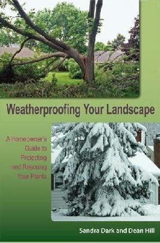 Weatherproofing Your Landscape