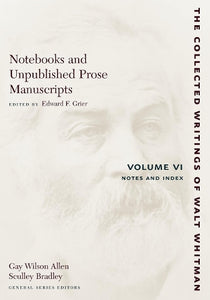 Notebooks and Unpublished Prose Manuscripts: Volume VI 