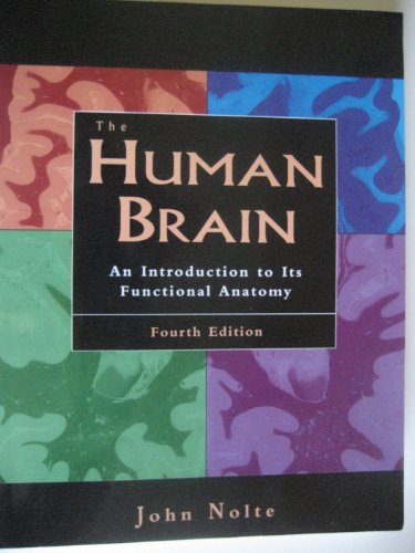 The Human Brain