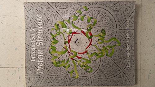 Introduction to Protein Structure